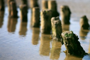 Wattenmeer